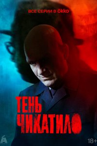 Тень Чикатило — постер