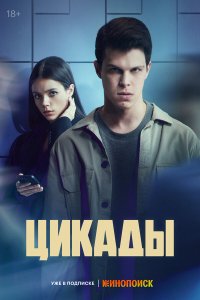Цикады — постер